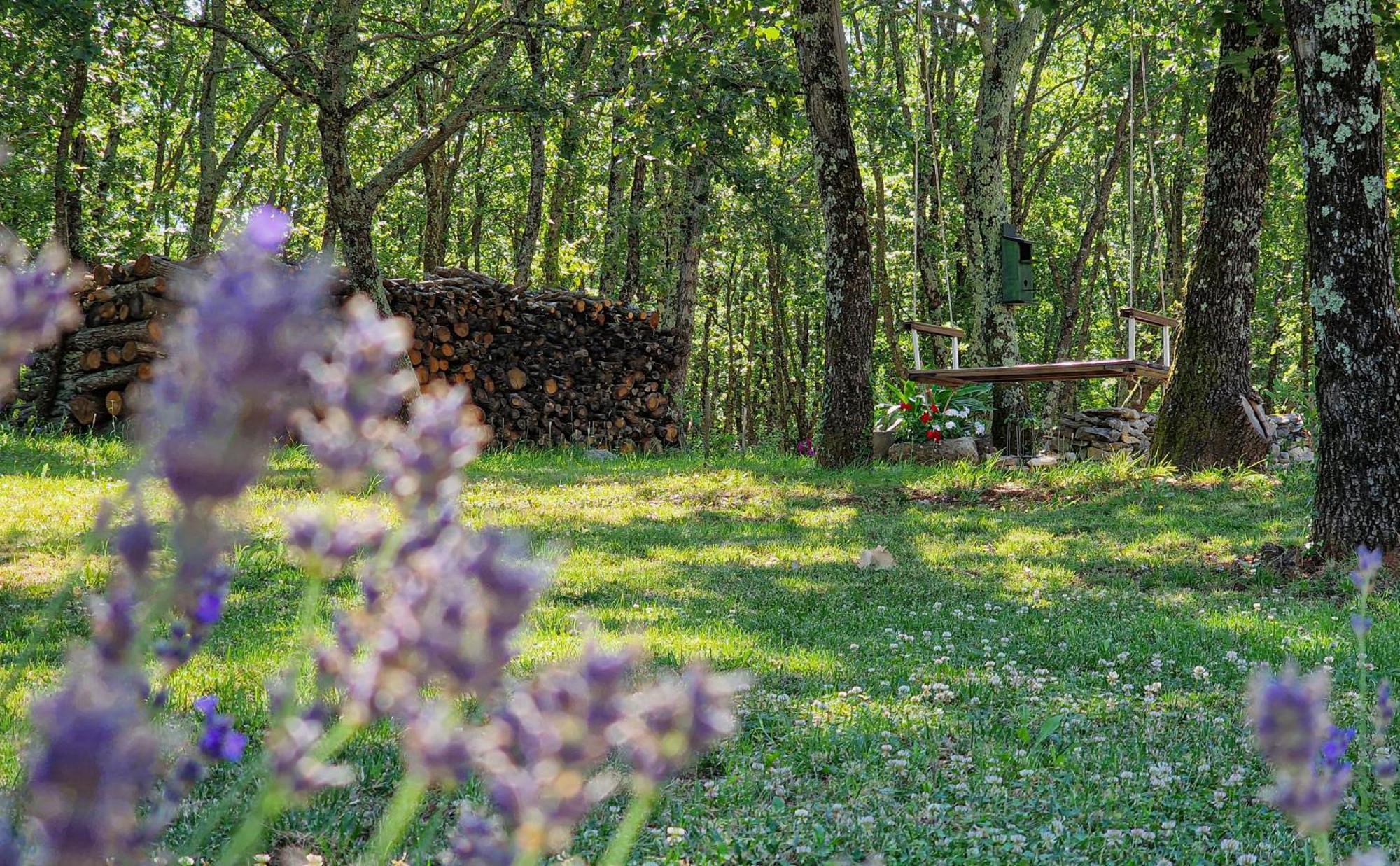 Rooms Stancija Ruseti Oprtalj Buitenkant foto